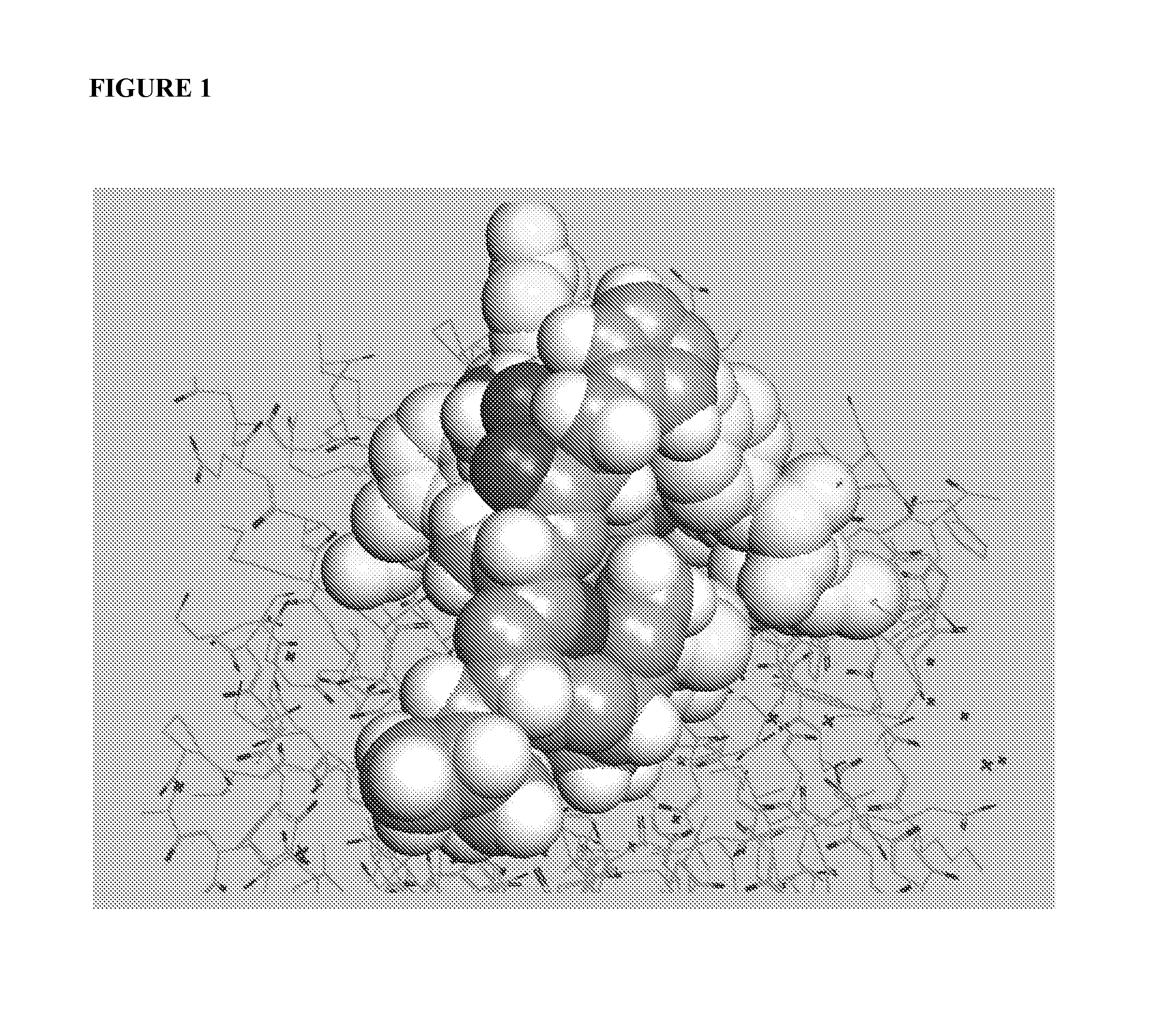 Compositions and methods for modulating innate and adaptive immune systems