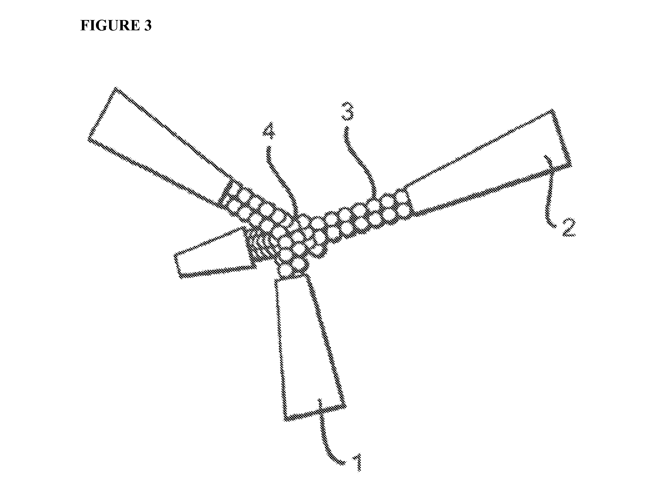 Compositions and methods for modulating innate and adaptive immune systems