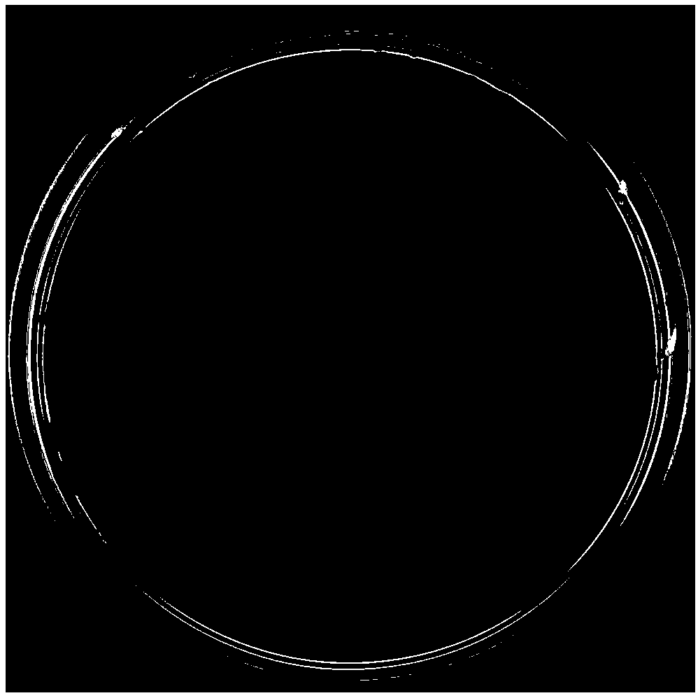 Pseudomonas nitroreducens and application thereof in degradation of DSF