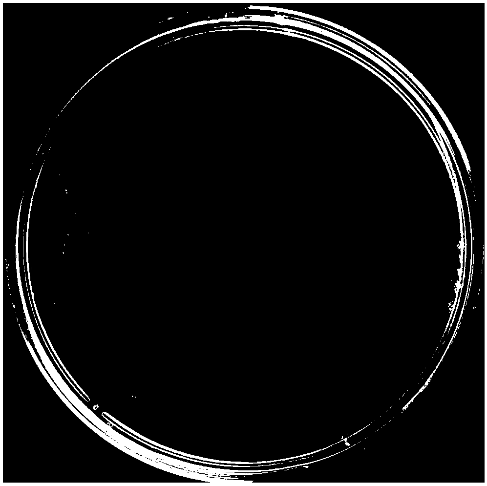 Pseudomonas nitroreducens and application thereof in degradation of DSF