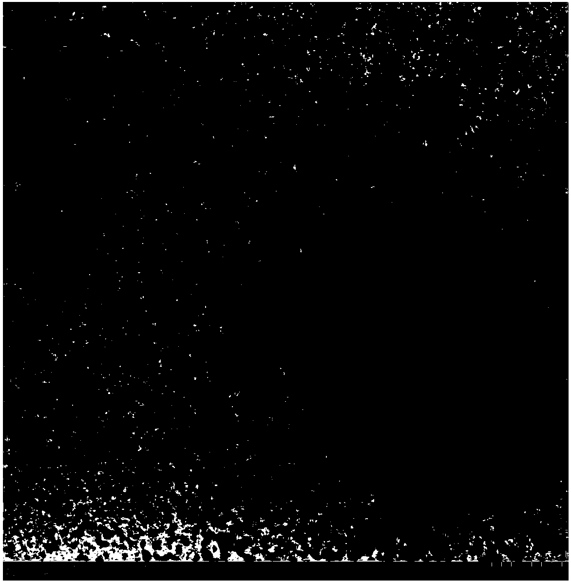 Pseudomonas nitroreducens and application thereof in degradation of DSF