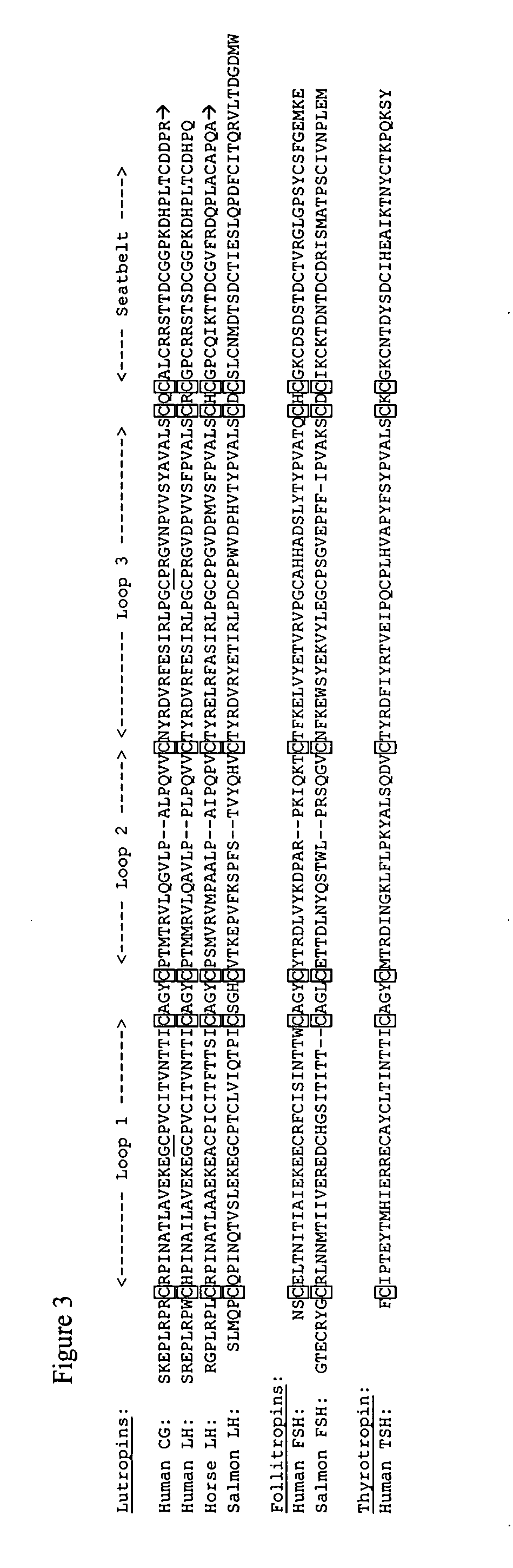 Low efficacy gonadotropin agonists and antagonists