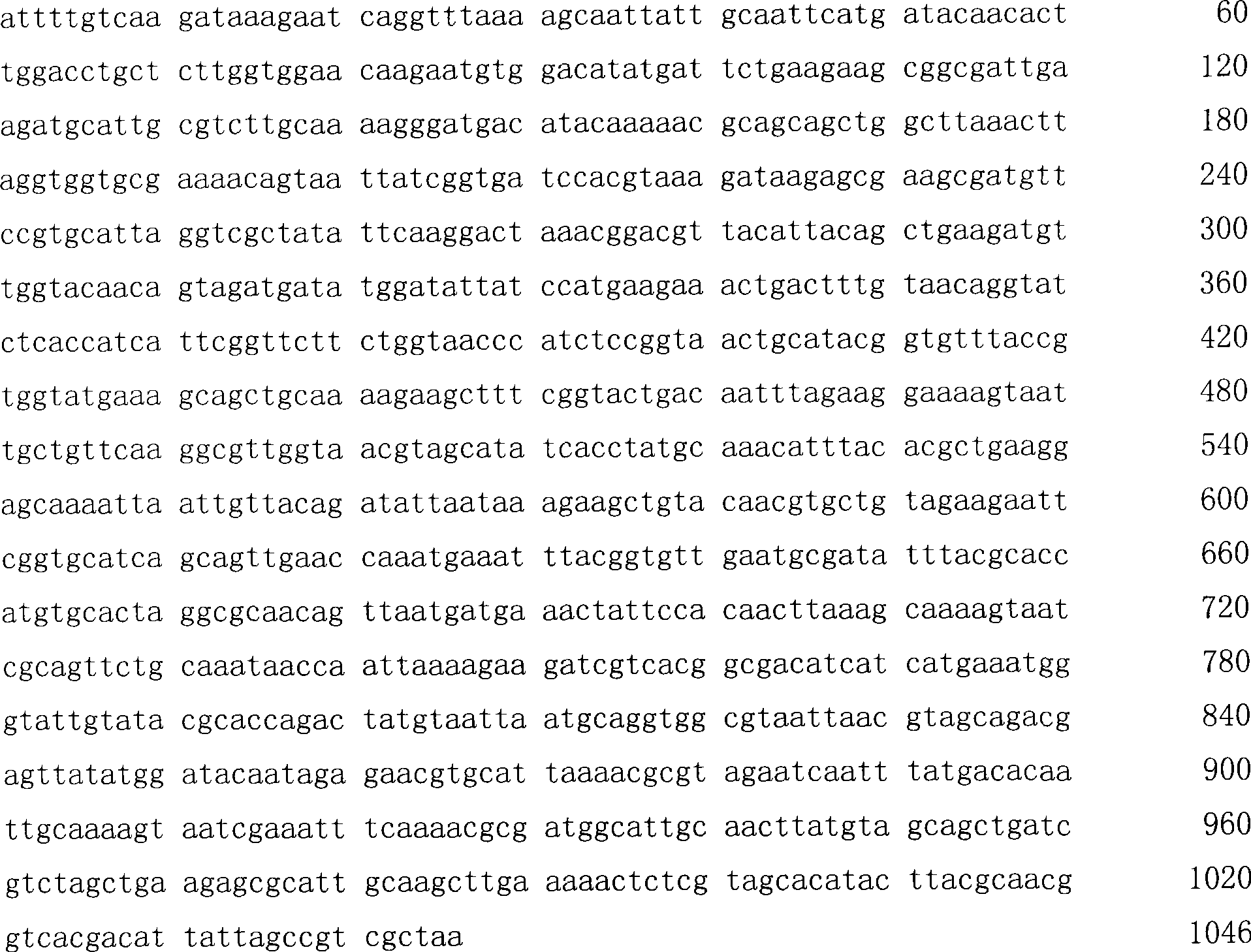 Gene sequence and amino acid constitution of (D)-specific carbonyl reduction enzyme of Morganella morganii proteus