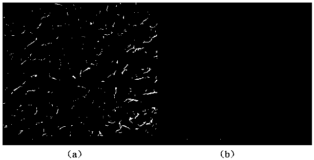 Carbon nanotube-based biomimetic material with micro-nano branch structure and preparation method for same