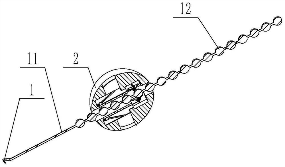 Physical training device for physical education