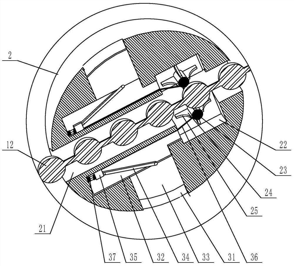 Physical training device for physical education