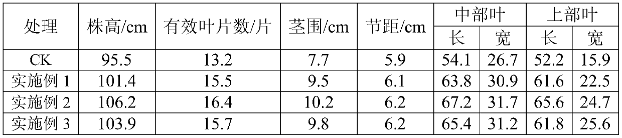 Biological fertilizer for controlling tobacco black shank and preparation method thereof