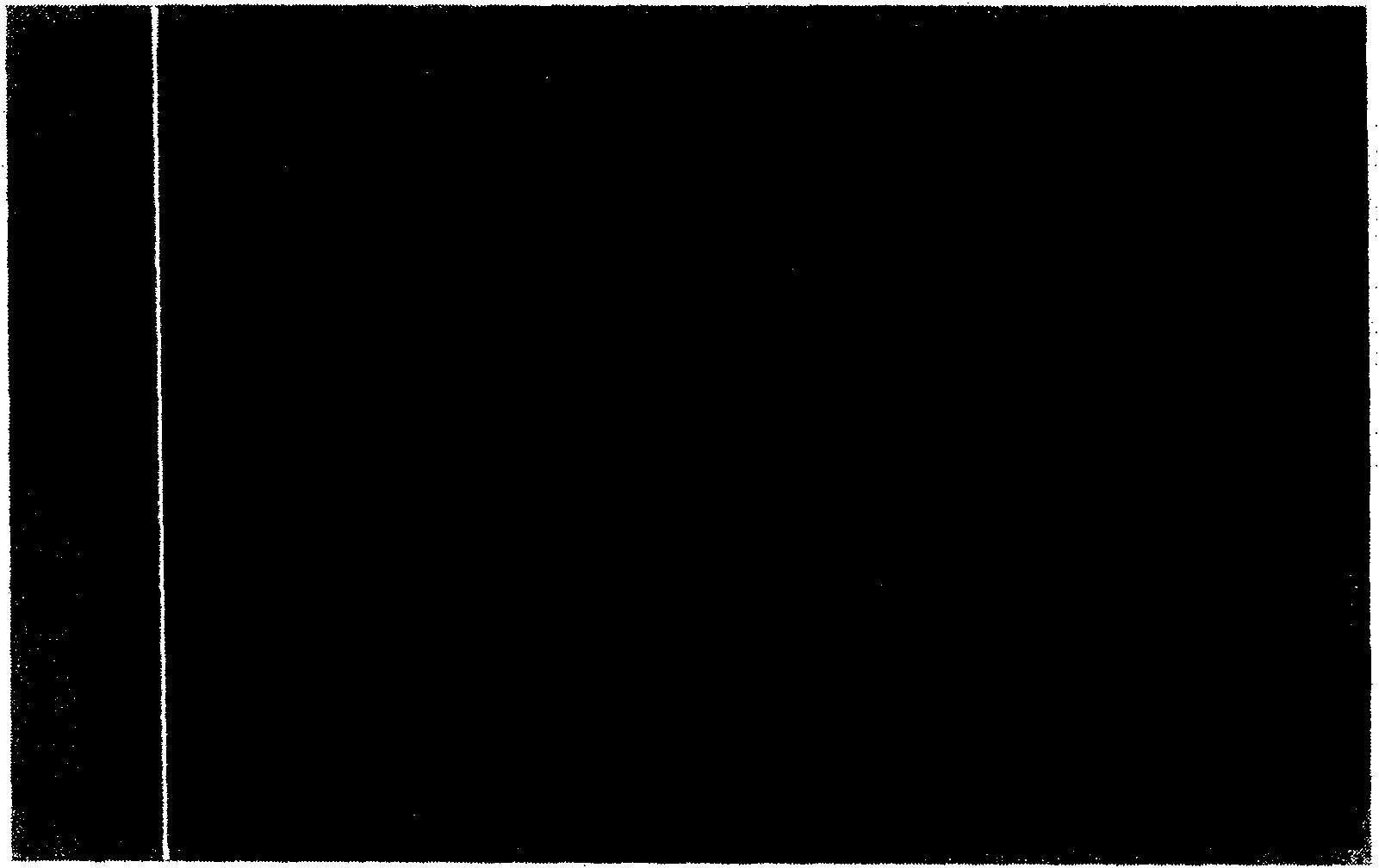 Method for protein gel internal enzymolysis