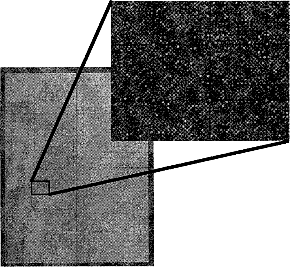 Method to automatically decode microarray images