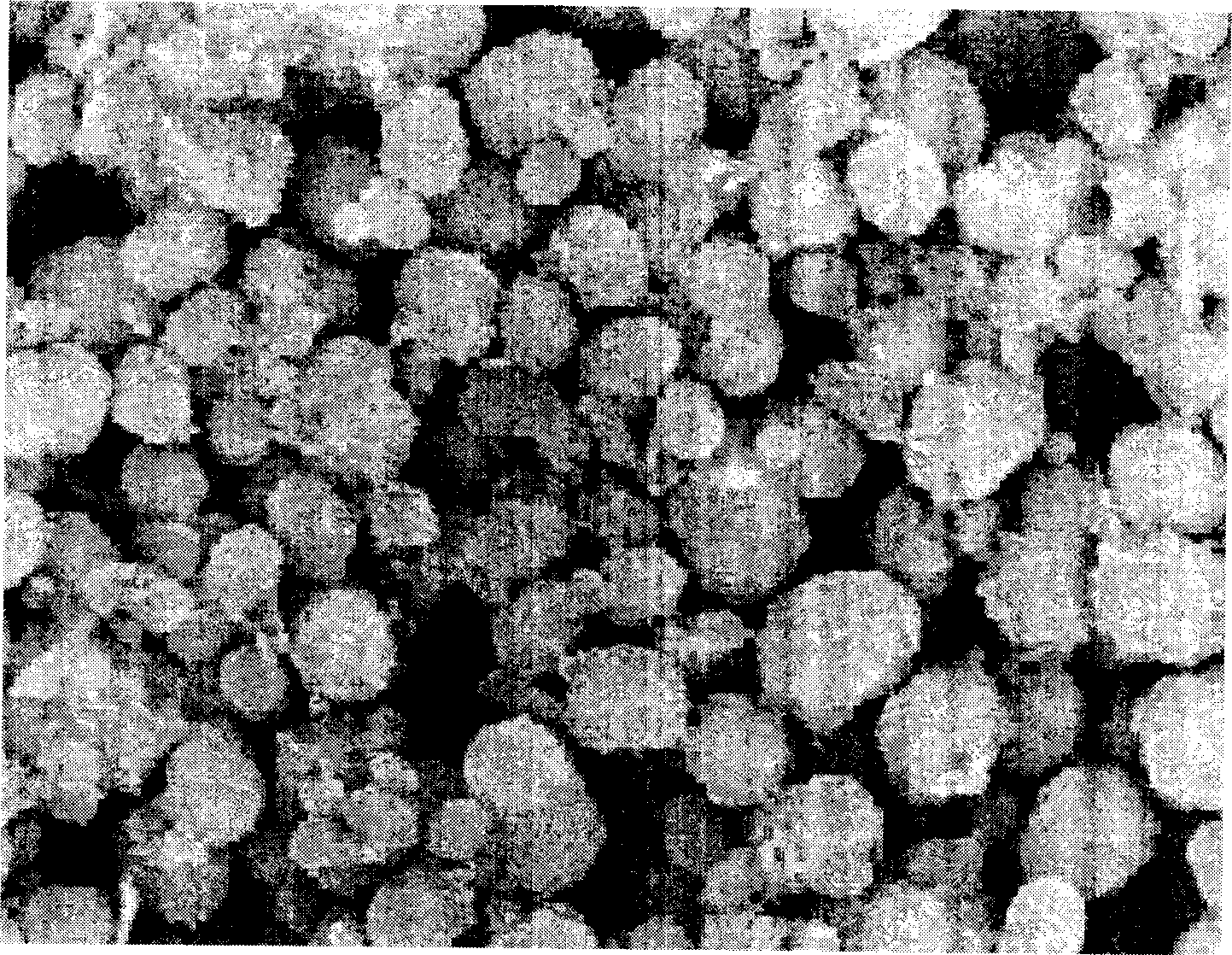 Mesoporous material/micropore molecular sieve composite material and preparation method thereof