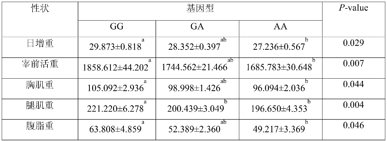 Molecular marker related to growth and development characters of broilers and application thereof