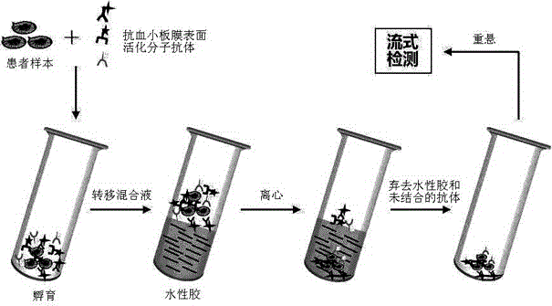 Water-soluble adhesive rapidly separating method for detecting surfactant molecules of platelet membrane