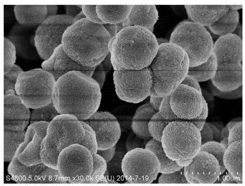 Preparation method of high-purity superfine cobalt oxalate powder