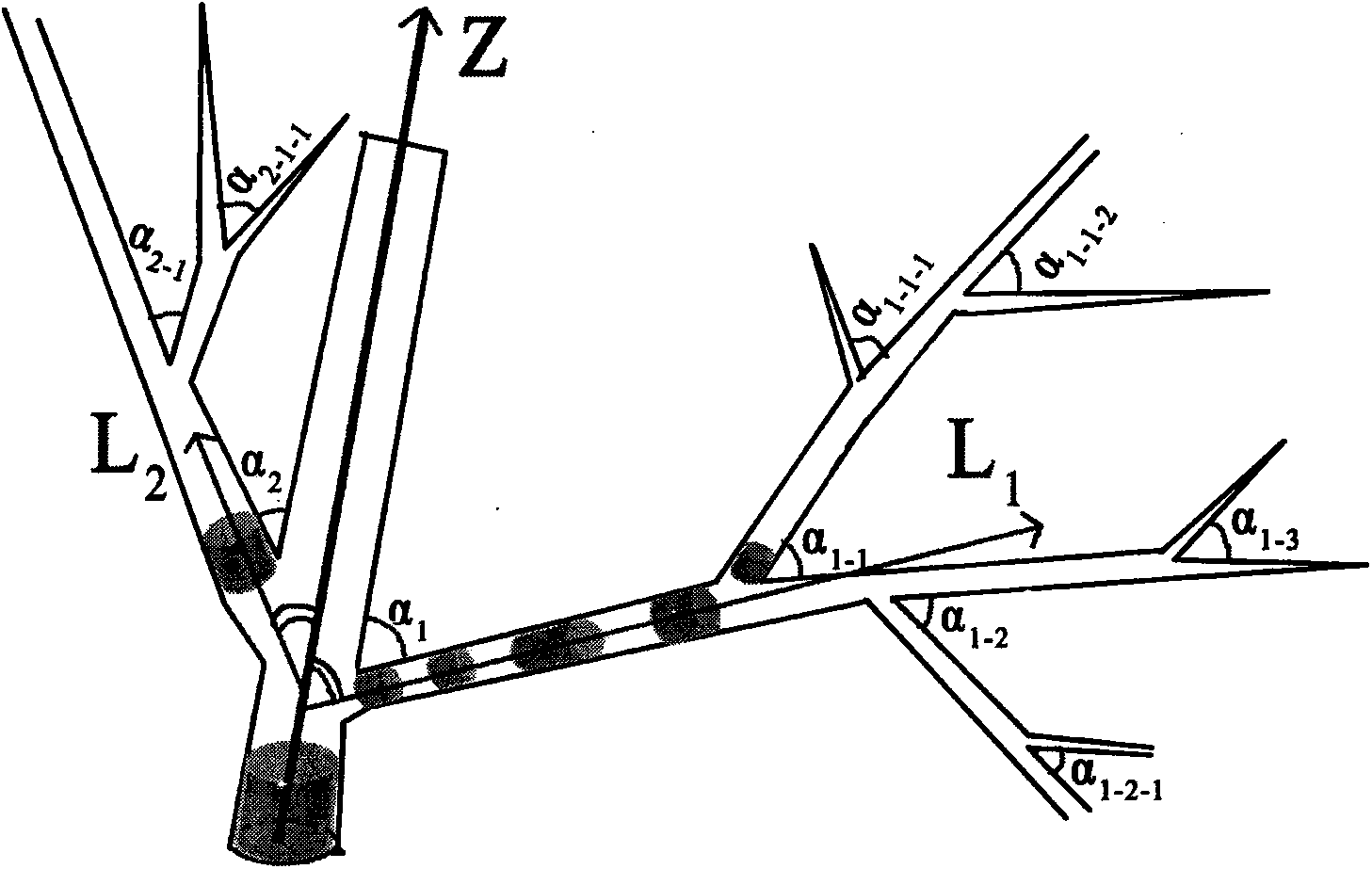 Method for acquiring tree branch and trunk factors based on three-dimensional photographical measurement