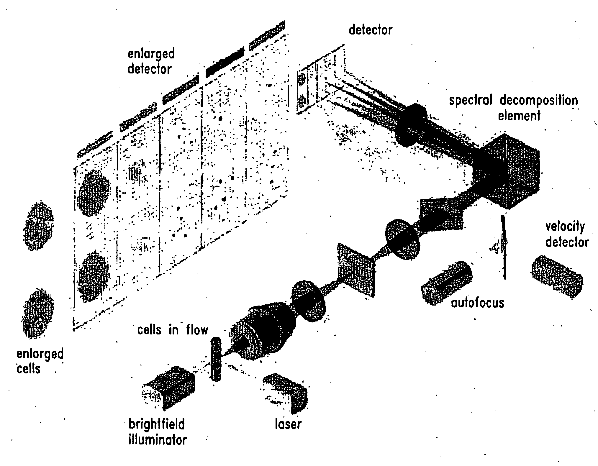 Method For Imaging And Differential Analysis Of Cells