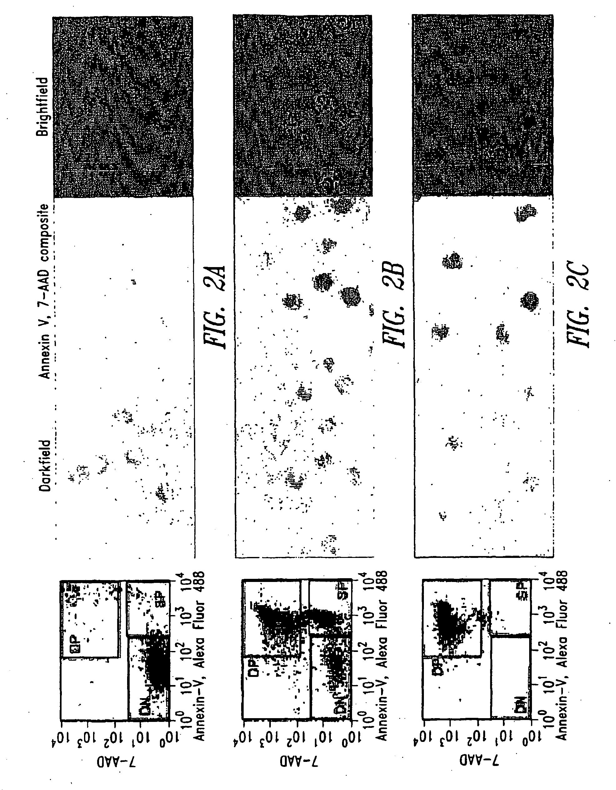 Method For Imaging And Differential Analysis Of Cells