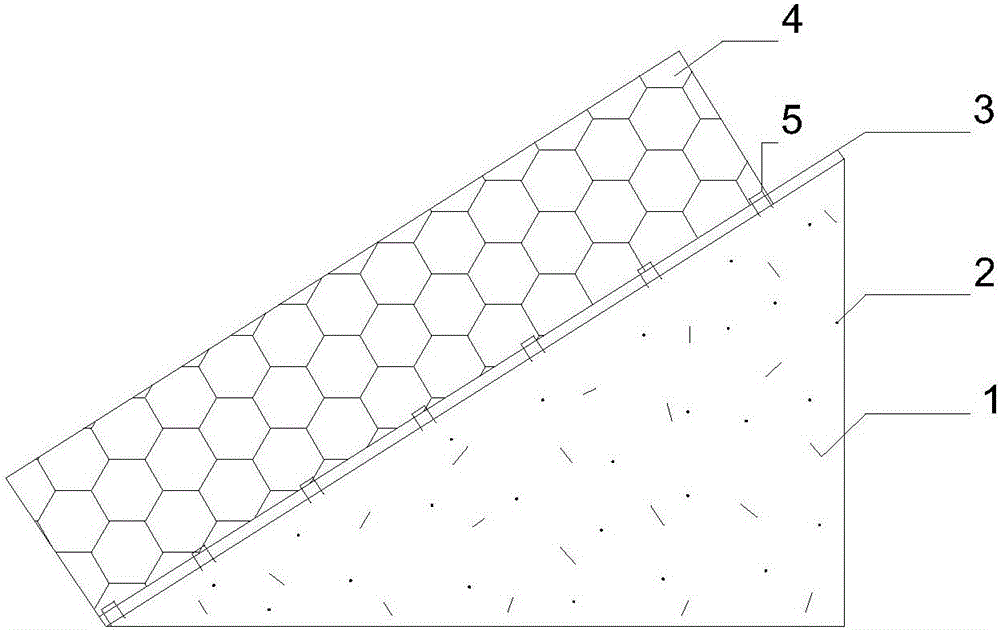 Palm fiber and silicon dioxide powder combined slope protection structure