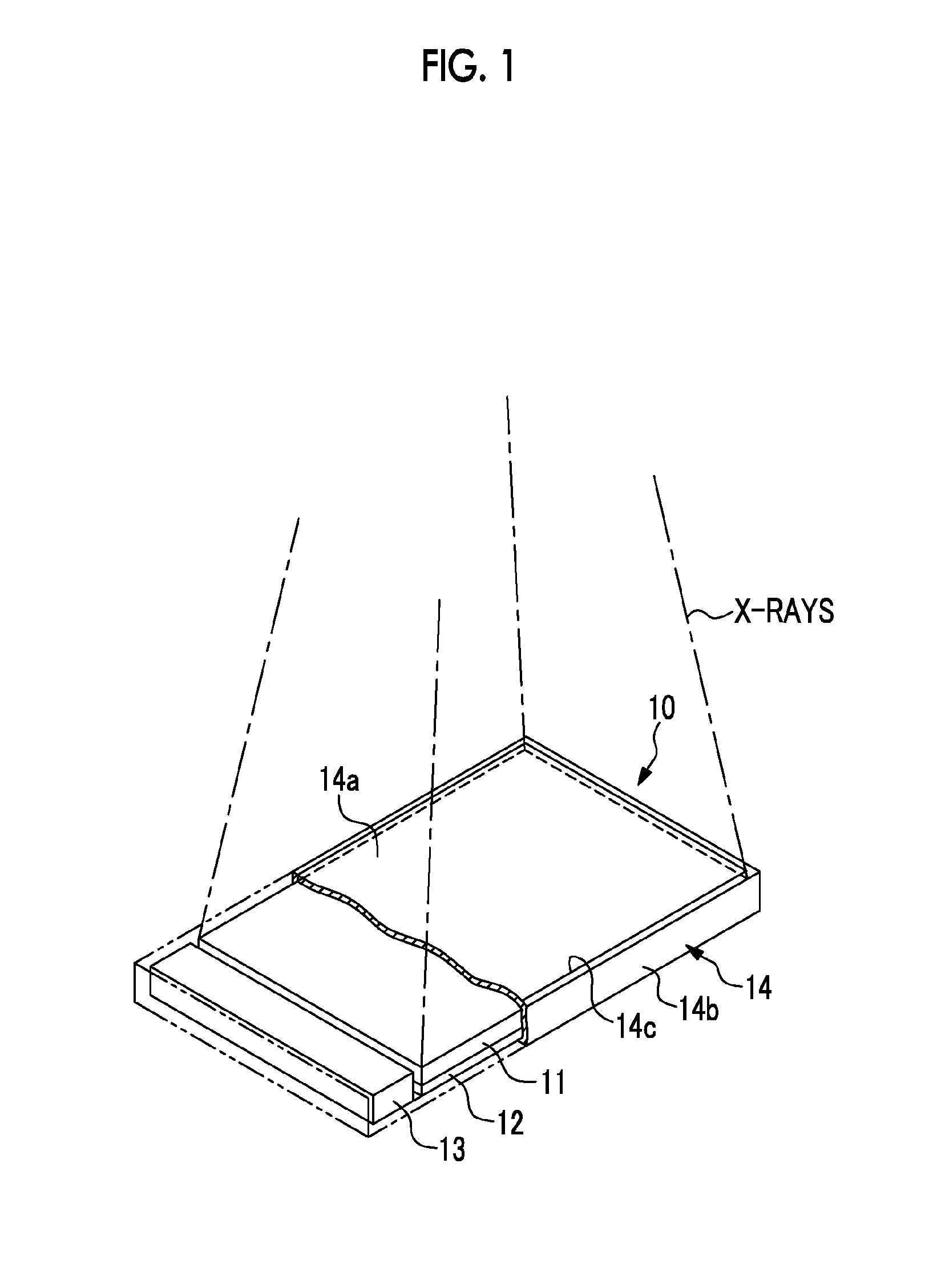 Radiological image detection apparatus