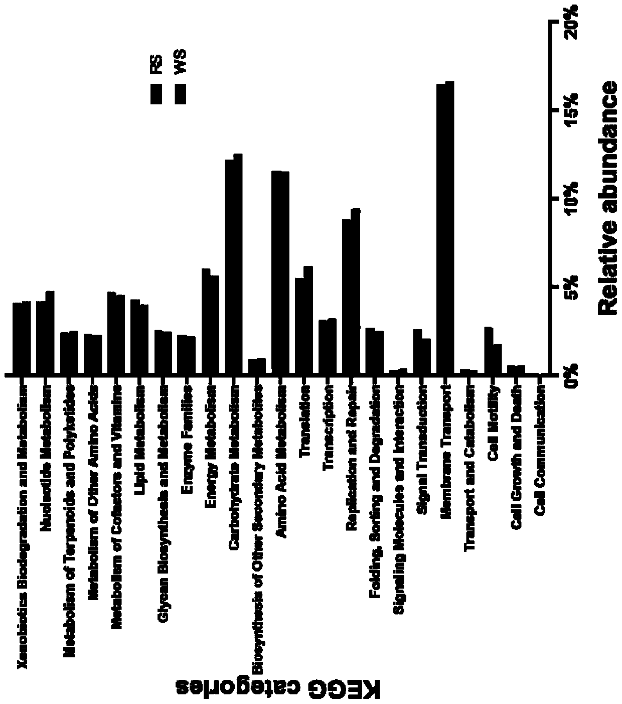 Extraction reagent and extraction method for fermented bean curd microorganism flora DNA