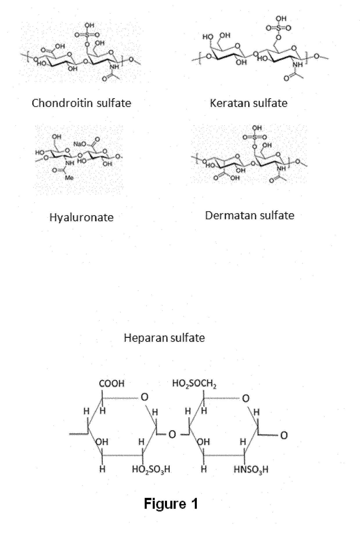 Method for separating the fraction bound to glycosaminoglycans and applications thereof