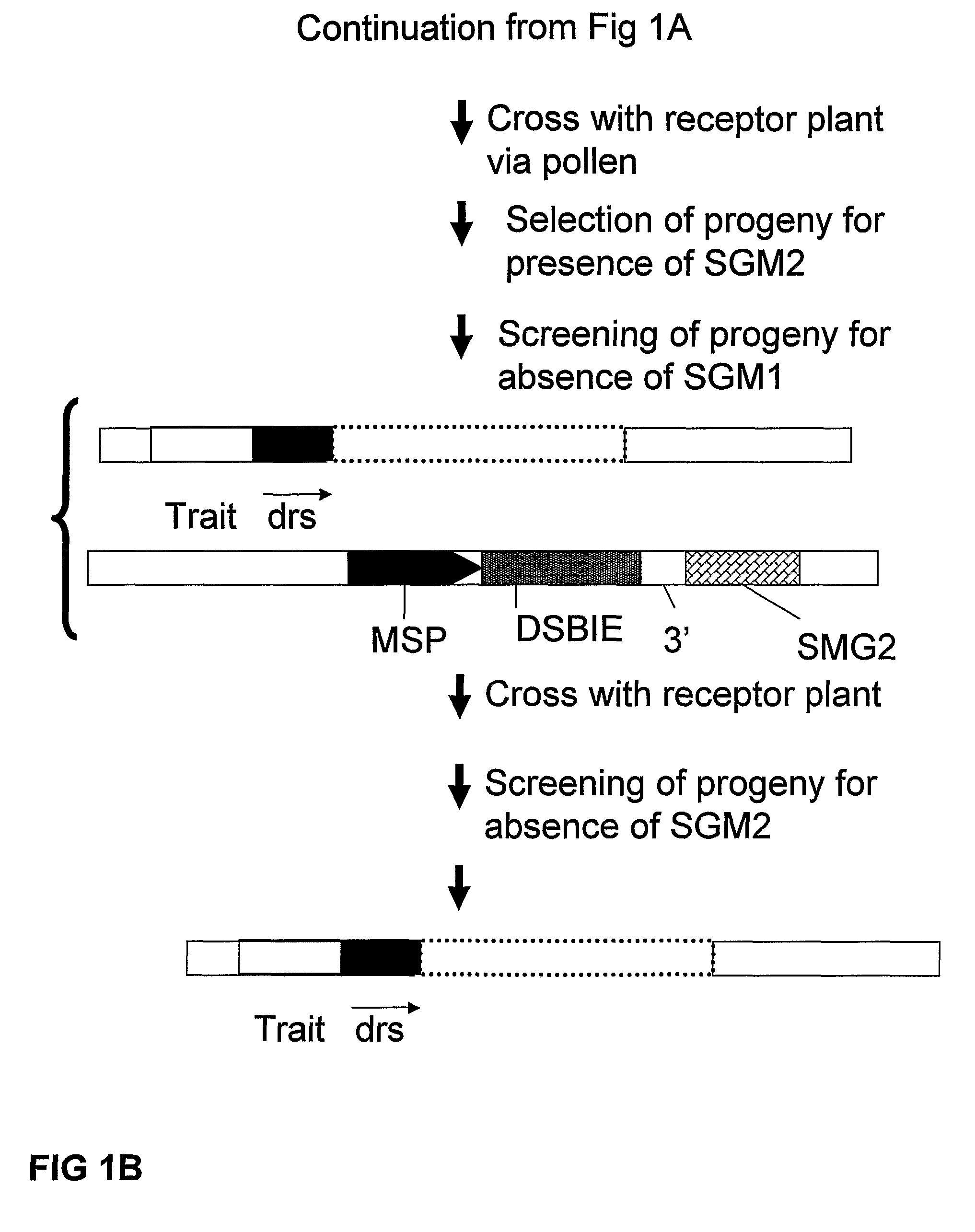 Methods and means for removal of a selected DNA sequence