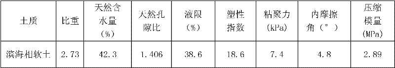 Curing agent for littoral-facy soft soil