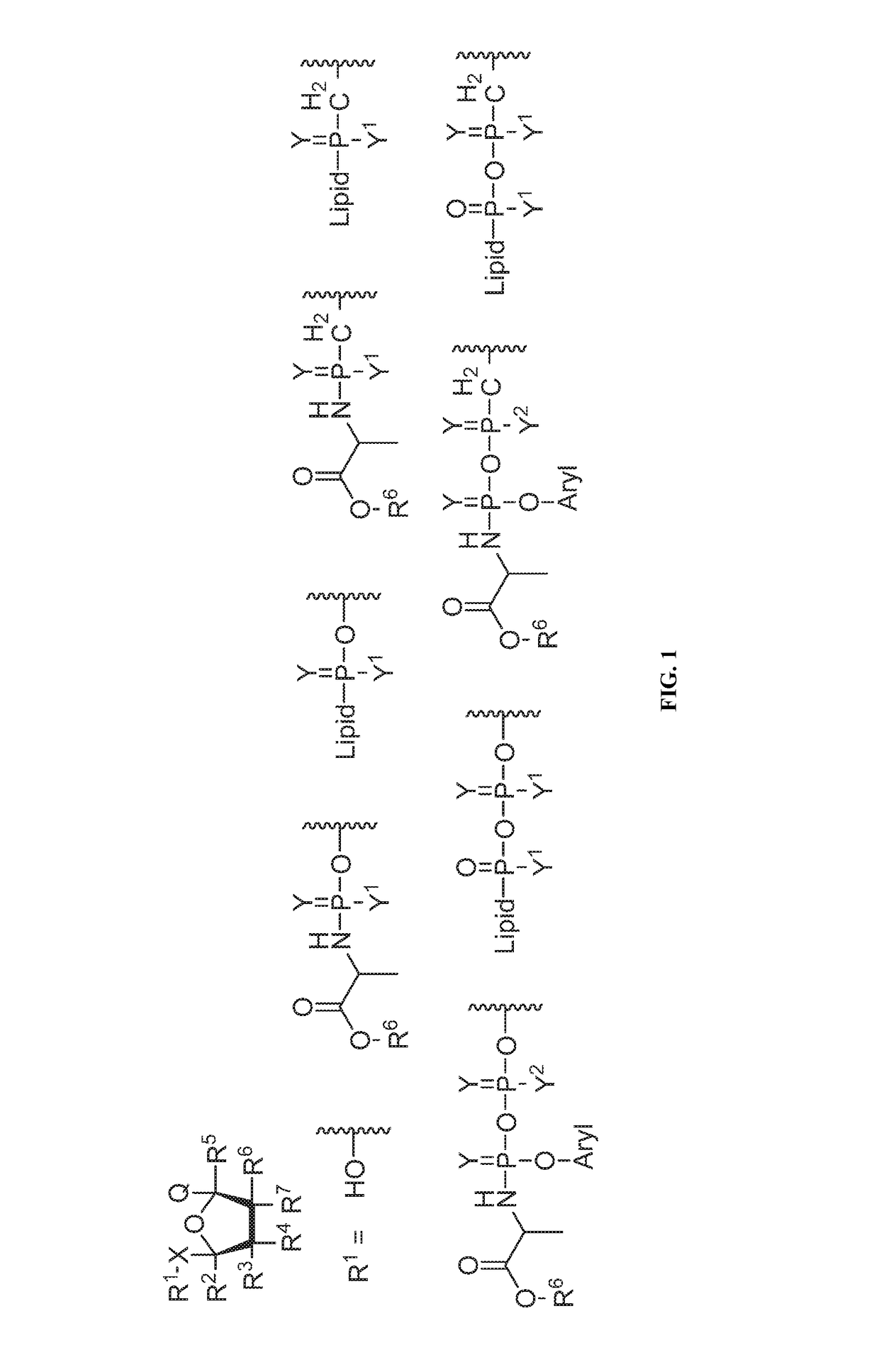 Nucleotide and nucleoside therapeutic compositions and uses related thereto