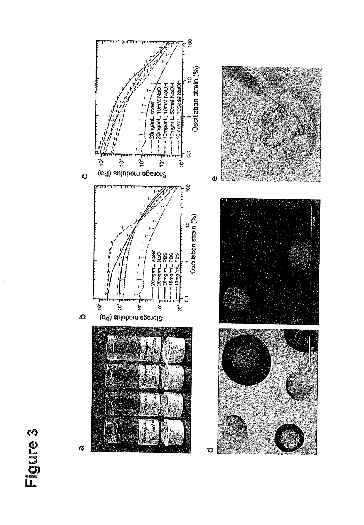 Self-assembling peptides, peptidomimetics and peptidic conjugates as building blocks for biofabrication and printing