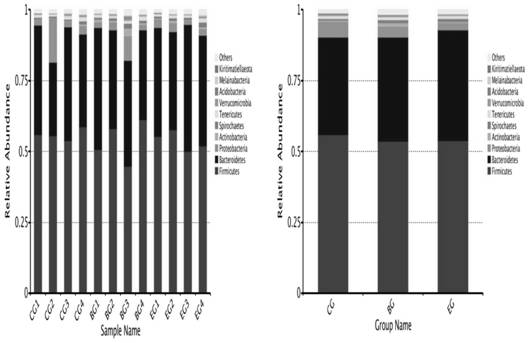 Bovine-derived composite microecological preparation and application