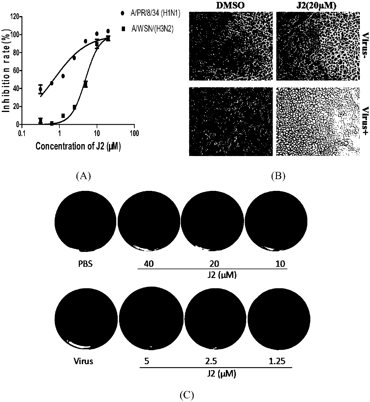 Application of 1, 3-dyhydroxy-6-benzo[C]chromone to preparing anti-influenza virus drugs