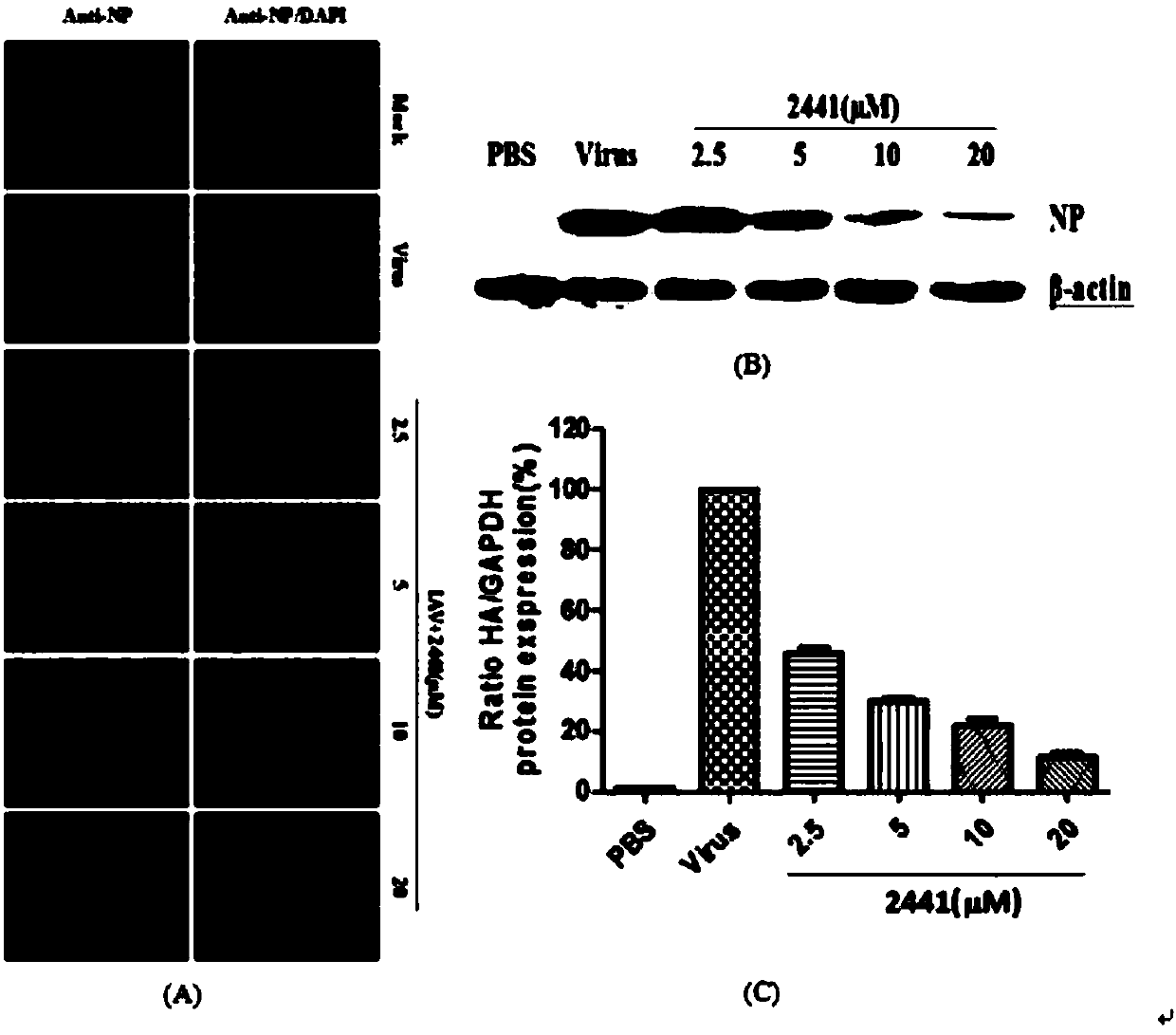 Application of 1, 3-dyhydroxy-6-benzo[C]chromone to preparing anti-influenza virus drugs