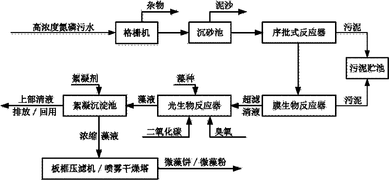 Nitrogen-phosphorus wastewater treating method by sequencing batch reactor coupled photobioreactor