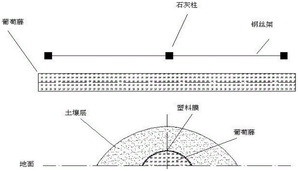 Conical spiral type vine-digging machine for spring grape