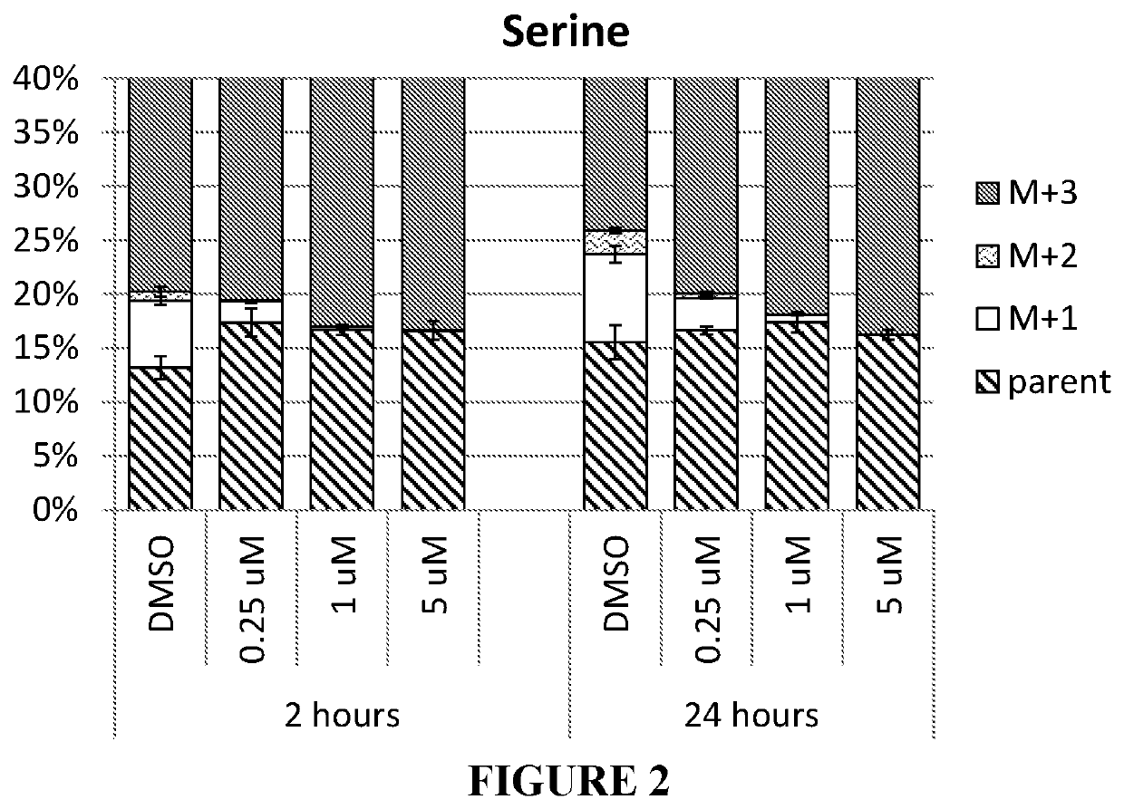 SHMT inhibitors