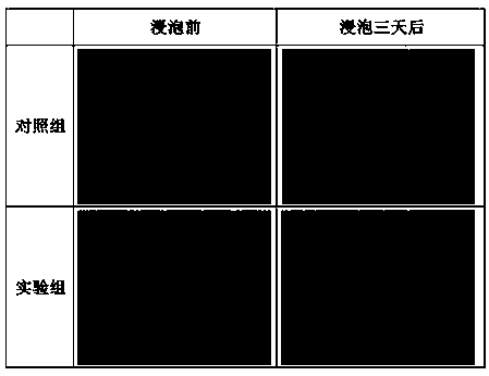 Injectable bioactive bone cement as well as preparation method and application thereof