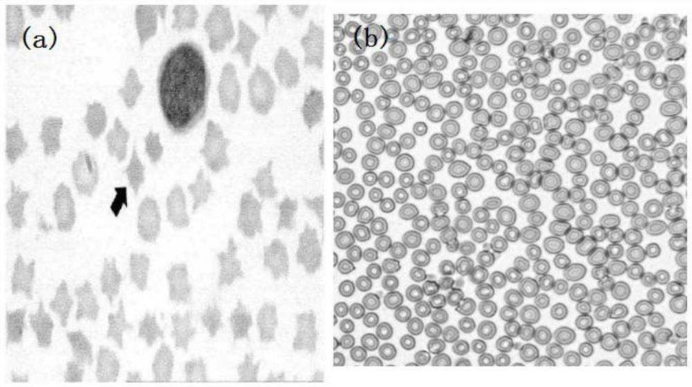 Feed additive for alleviating altitude sickness of dairy cows and its application method and feed