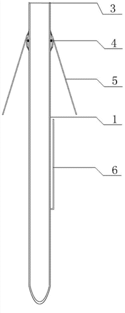 Pollination preventing and capsule protecting mesh bag for cassava artificial hybridization