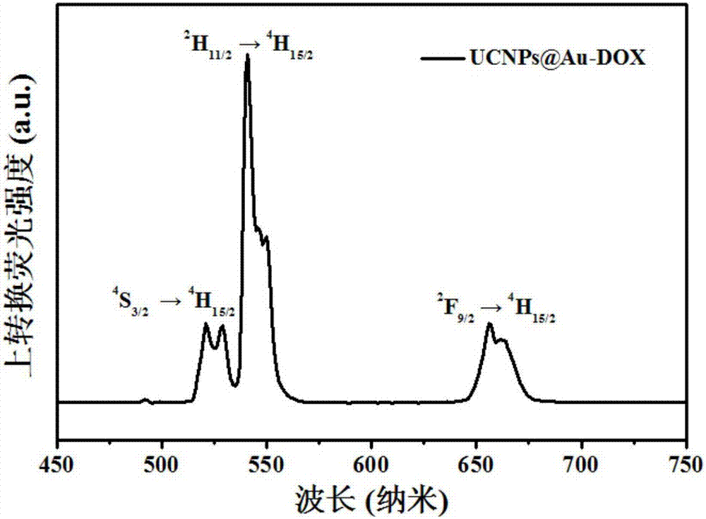 Nanometer system for multi-model diagnosis and treatment integration as well as preparation method and application of nanometer system