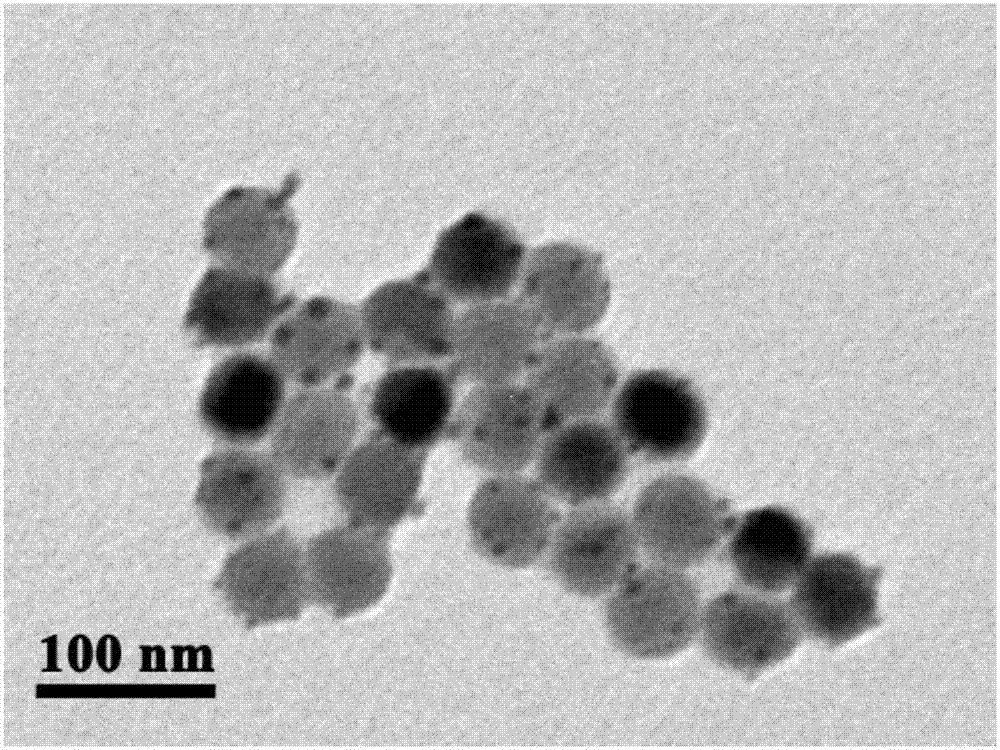 Nanometer system for multi-model diagnosis and treatment integration as well as preparation method and application of nanometer system