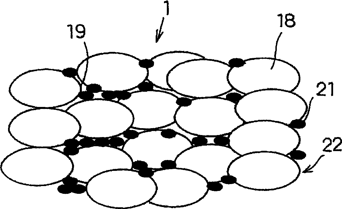 Graphitic brush, and motor having graphitic brush