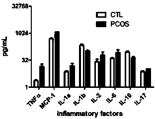 Construction method and applications of polycystic ovary animal model