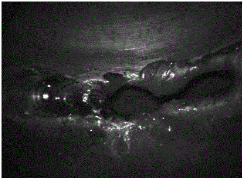 Weld seam surface detect feature extraction method based on grayscale image morphology