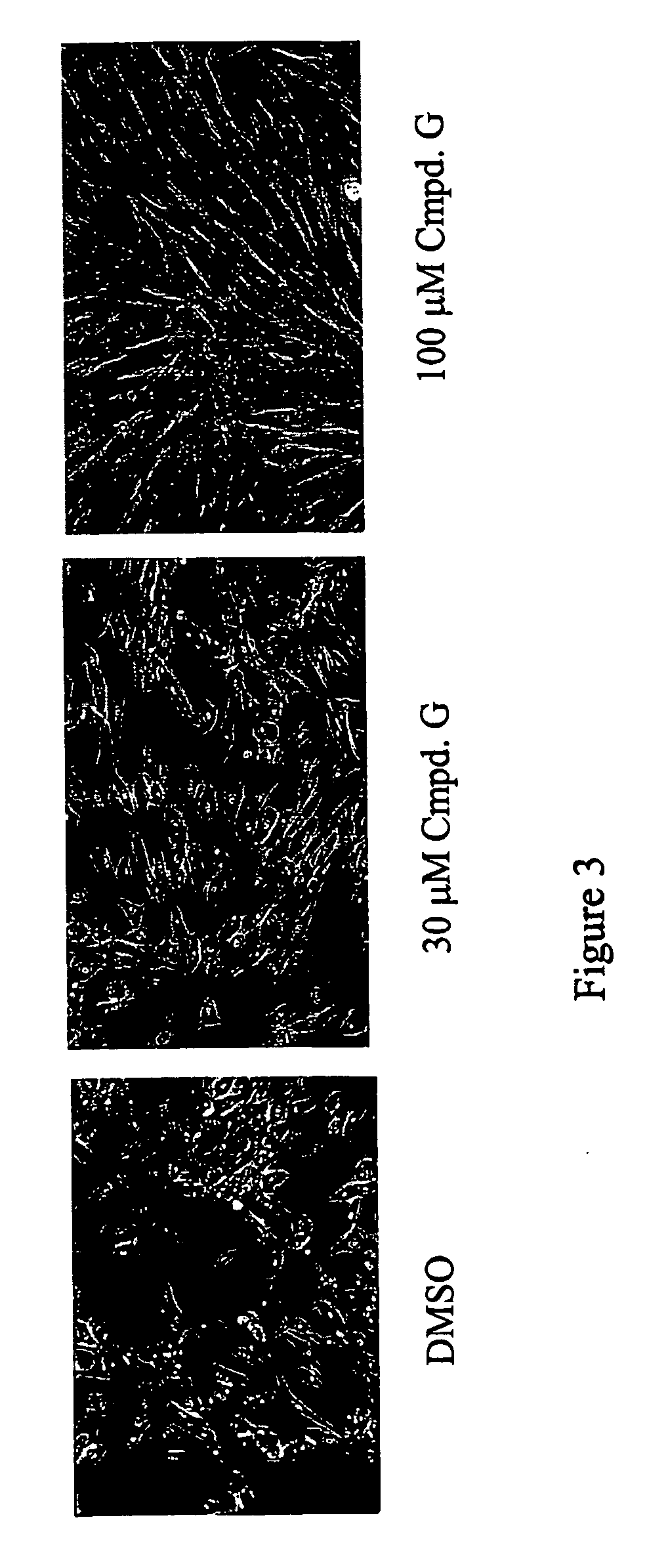 Cytoprotection through the use of hif hydroxylase inhibitors