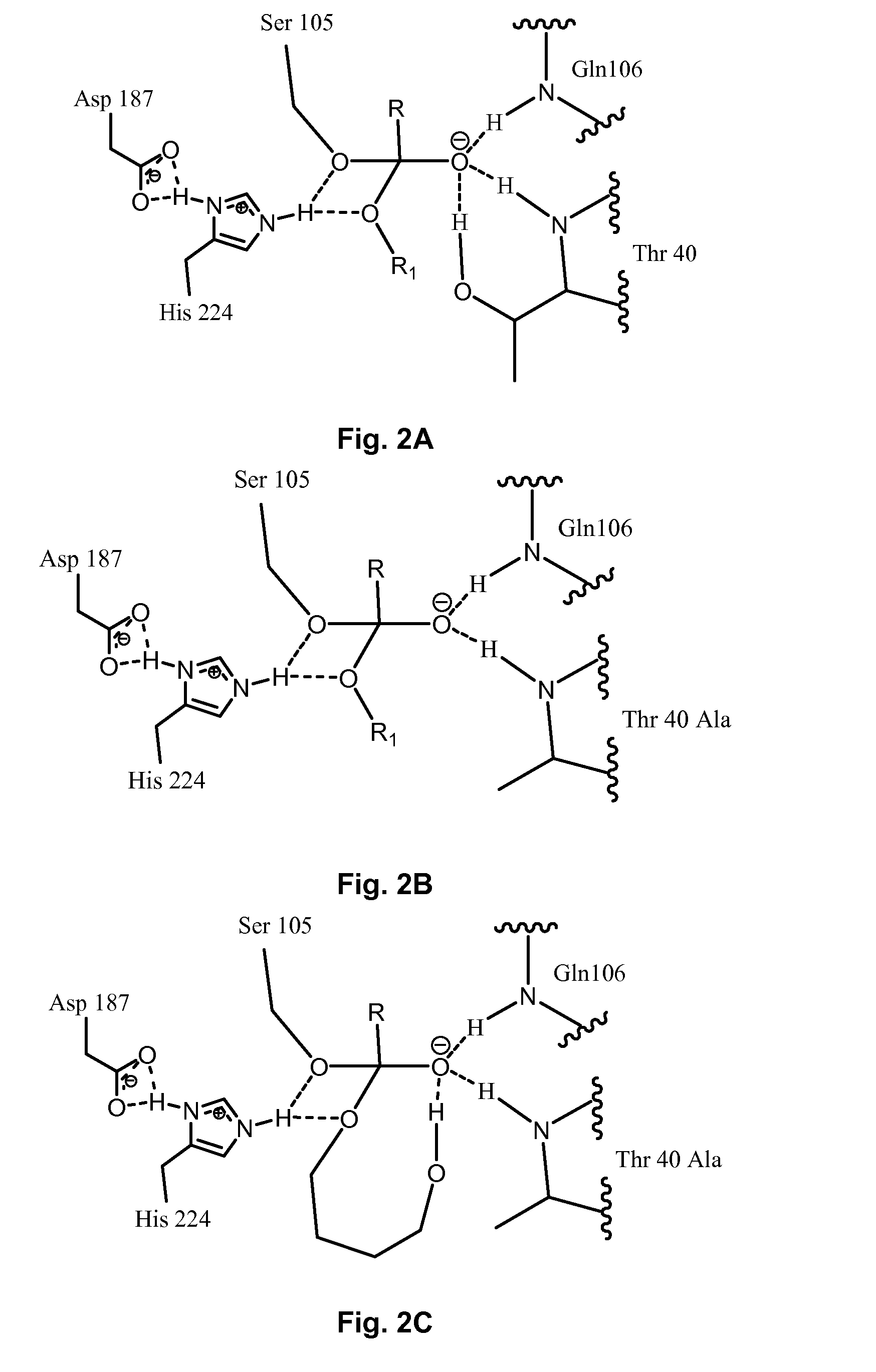 Enzymatically catalyzed method of preparing mono-acylated polyols