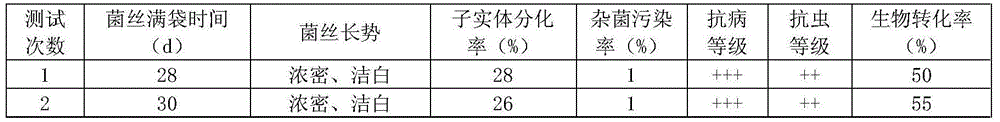 Method for cultivating phoenix mushroom with mulberry twigs