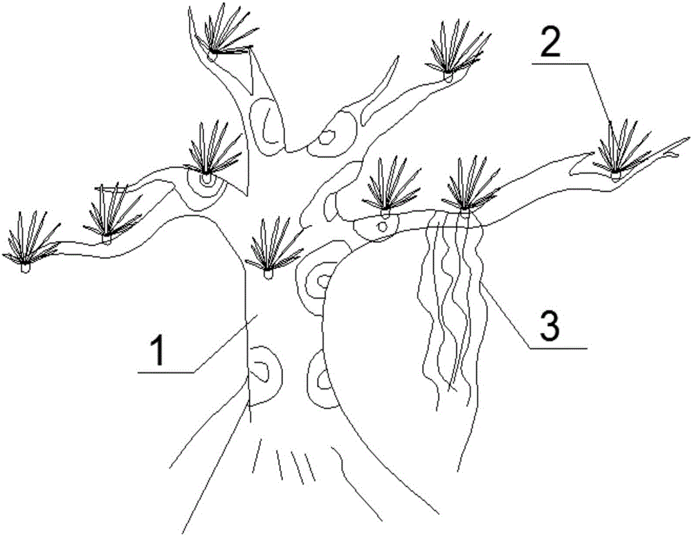 Construction method for tropical rainforest hanging garden