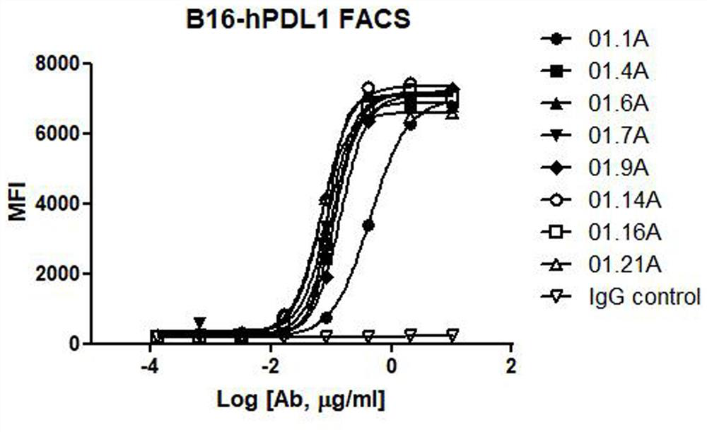 pdl1 monoclonal antibody and its application