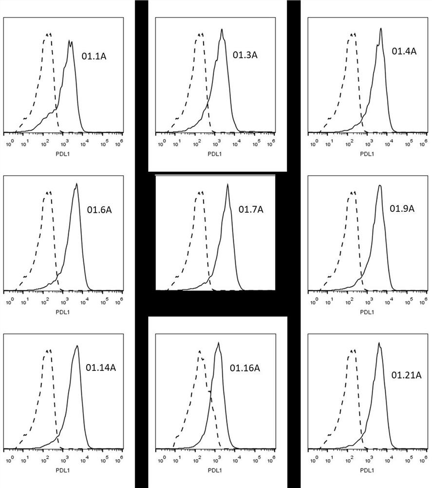 pdl1 monoclonal antibody and its application