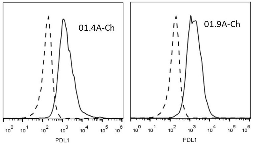 pdl1 monoclonal antibody and its application