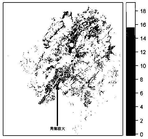 Soil newly-added sampling point supplementary layout method based on farmland landscape zoning